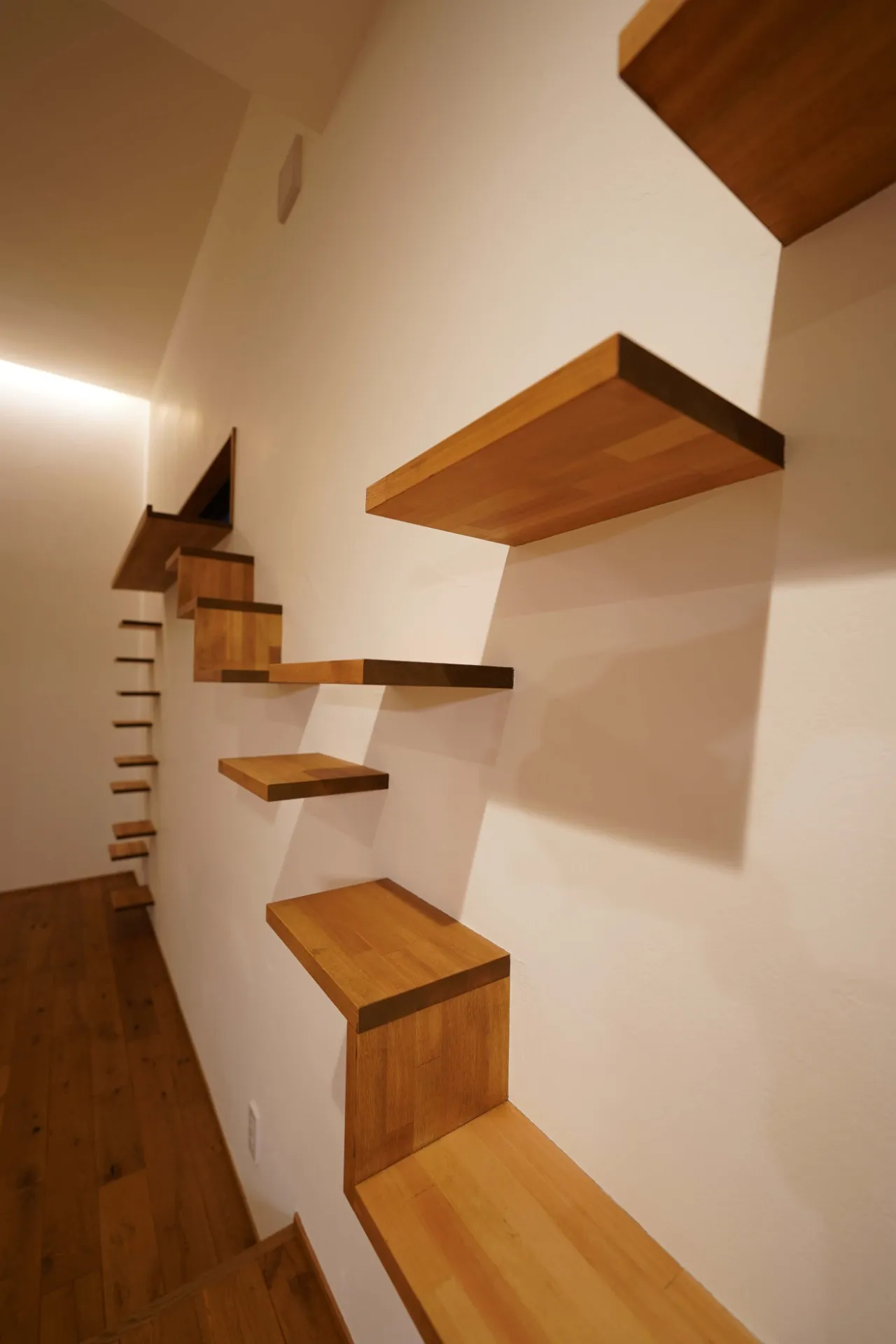 猫が楽しく暮らせることが大事なテーマ。この家を象徴するキャットウォーク。