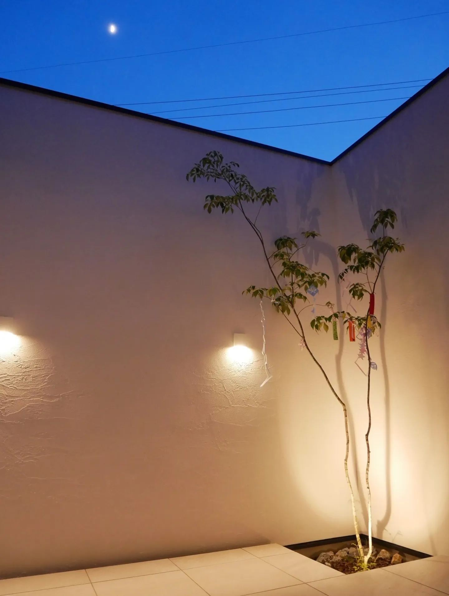 『Aqualium Court House』