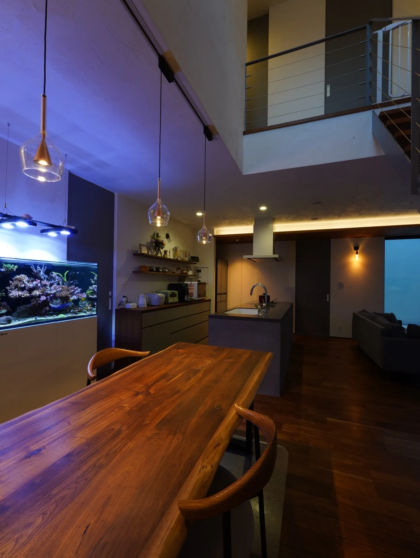 『Aqualium Court House』